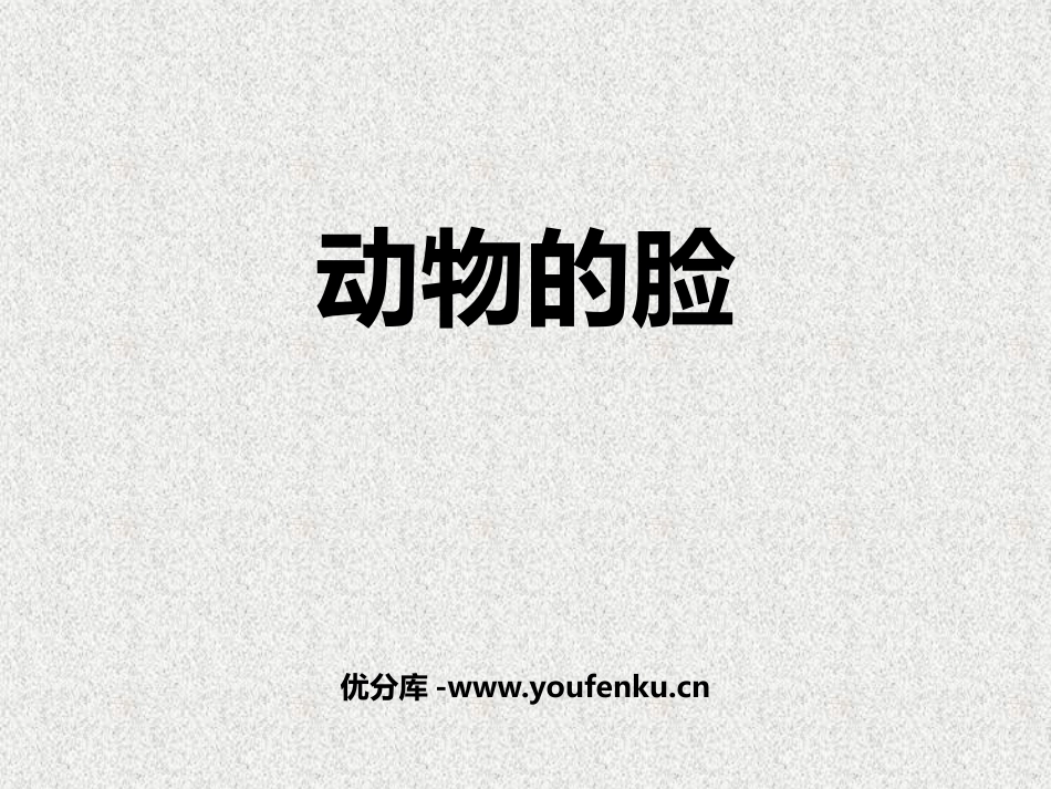 《动物的脸》PPT教学课件[四年级美术下册]_第1页