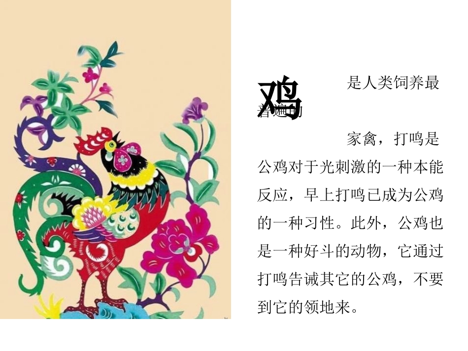 《艳丽的大公鸡》PPT课件[四年级美术下册]_第2页