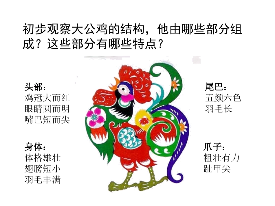 《艳丽的大公鸡》PPT课件[四年级美术下册]_第3页