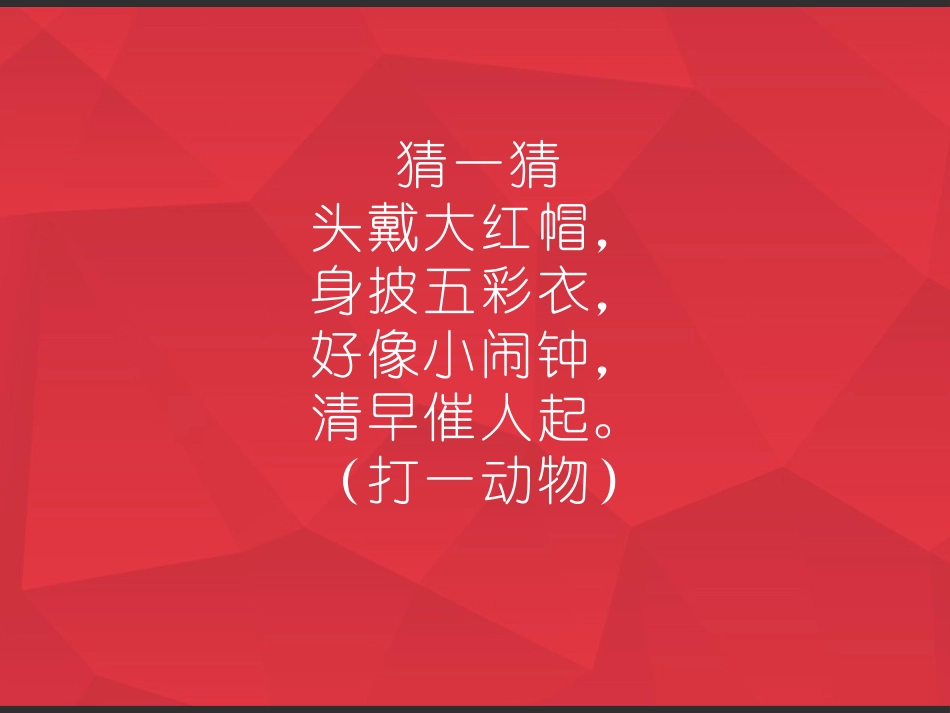 《艳丽的大公鸡》PPT免费课件[四年级美术下册]_第2页