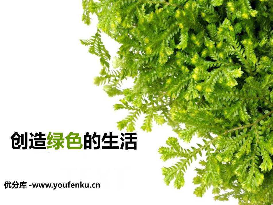 《创造绿色的生活》PPT课件[五年级美术上册]_第1页