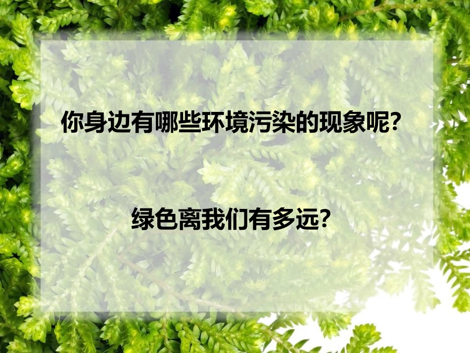 《创造绿色的生活》PPT课件[五年级美术上册]_第2页