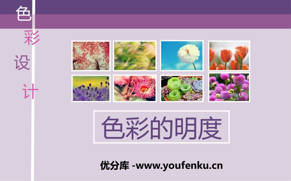 《色彩的明度》PPT课件[五年级美术上册]_第1页