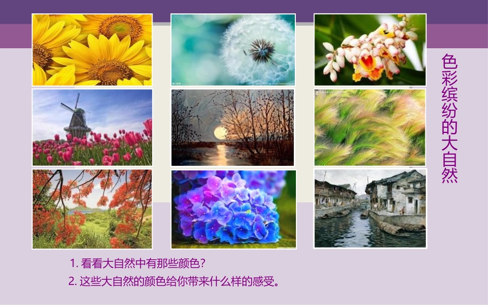 《色彩的明度》PPT课件[五年级美术上册]_第2页