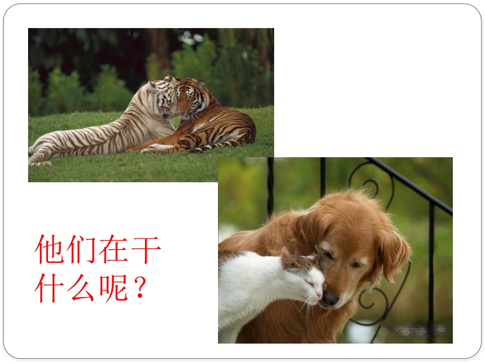 《亲亲密密一家子》PPT课件[六年级美术上册]_第2页