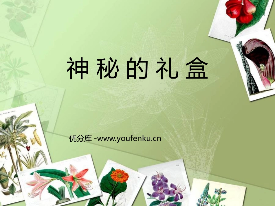 《神秘的礼盒》PPT课件[六年级美术上册]_第1页
