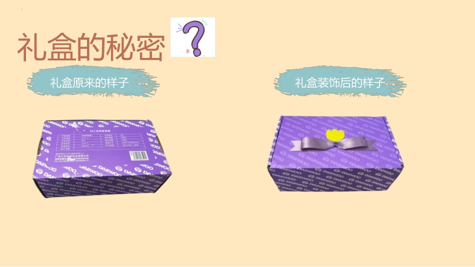 《神秘的礼盒》PPT教学课件[六年级美术上册]_第3页