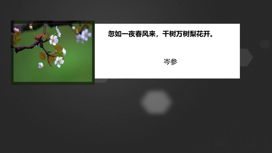 《镜头里的花》PPT课件[六年级美术上册]_第2页