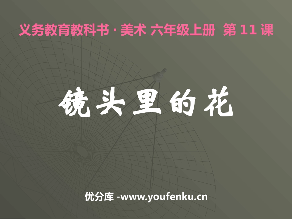 《镜头里的花》PPT课件[六年级美术上册]_第1页