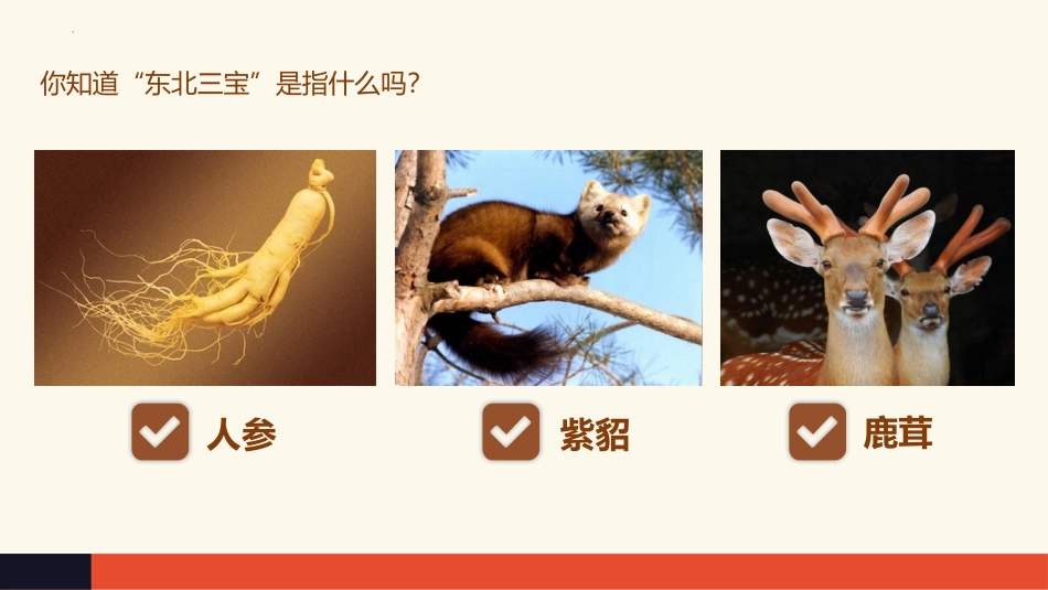 《家乡的艺术》PPT课件[六年级美术上册]_第2页