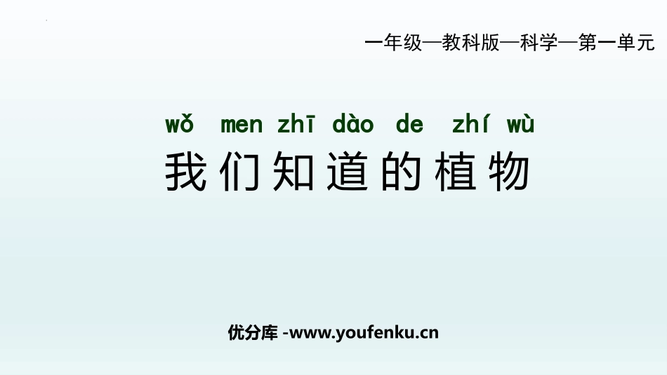 《我们知道的植物》PPT优质课件[教科版一年级科学上册]_第1页