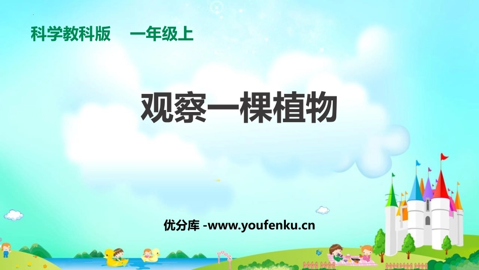 《观察一棵植物》PPT课件[教科版一年级科学上册]_第1页