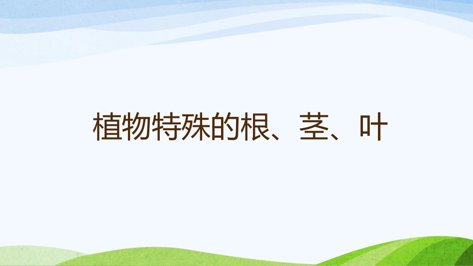 《观察一棵植物》PPT精品课件[教科版一年级科学上册]_第3页