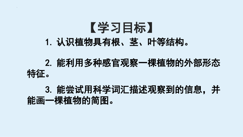 《观察一棵植物》PPT优质课件[教科版一年级科学上册]_第2页