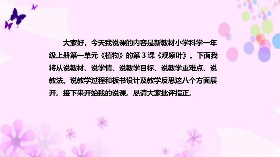 《观察叶》PPT课件[教科版一年级科学上册]_第2页