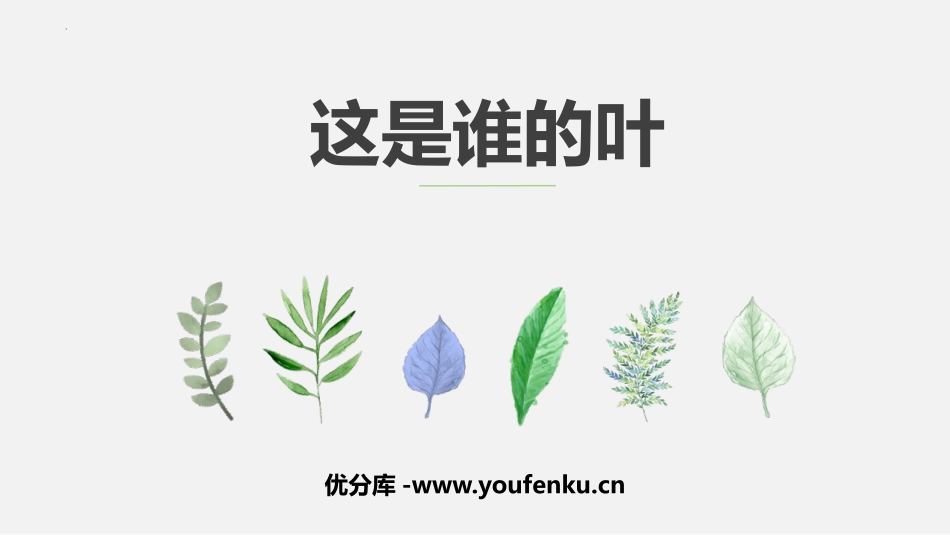 《这是谁的叶?》PPT课件[教科版一年级科学上册]_第1页