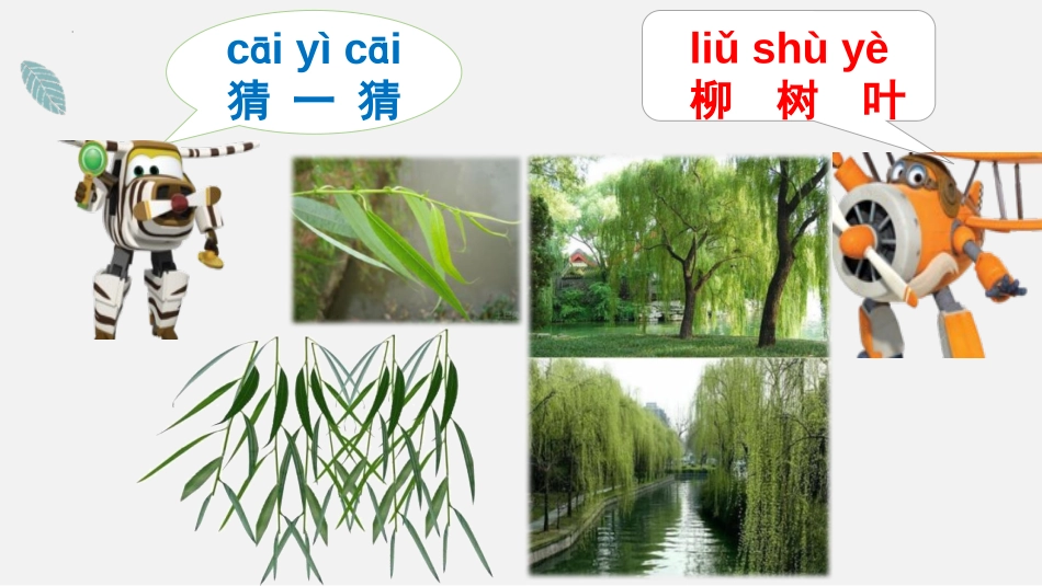 《这是谁的叶?》PPT课件[教科版一年级科学上册]_第3页