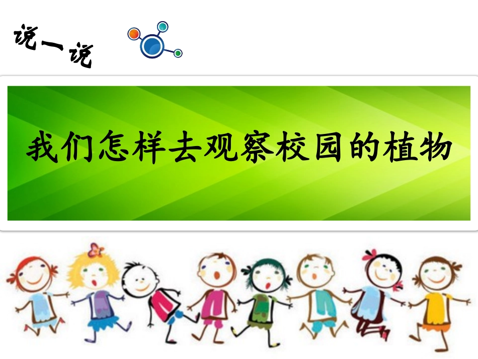 《校园里的植物》PPT课件[教科版一年级科学上册]_第2页