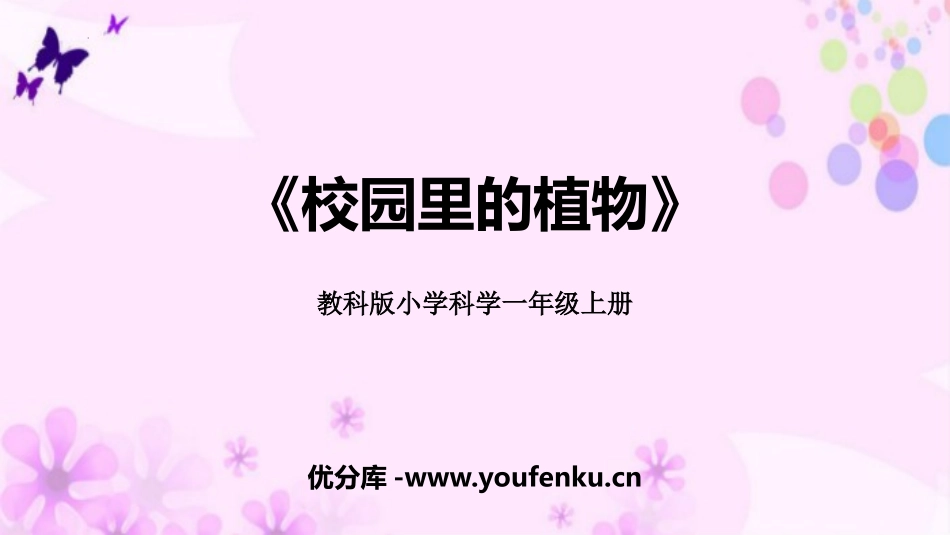 《校园里的植物》PPT教学课件[教科版一年级科学上册]_第1页