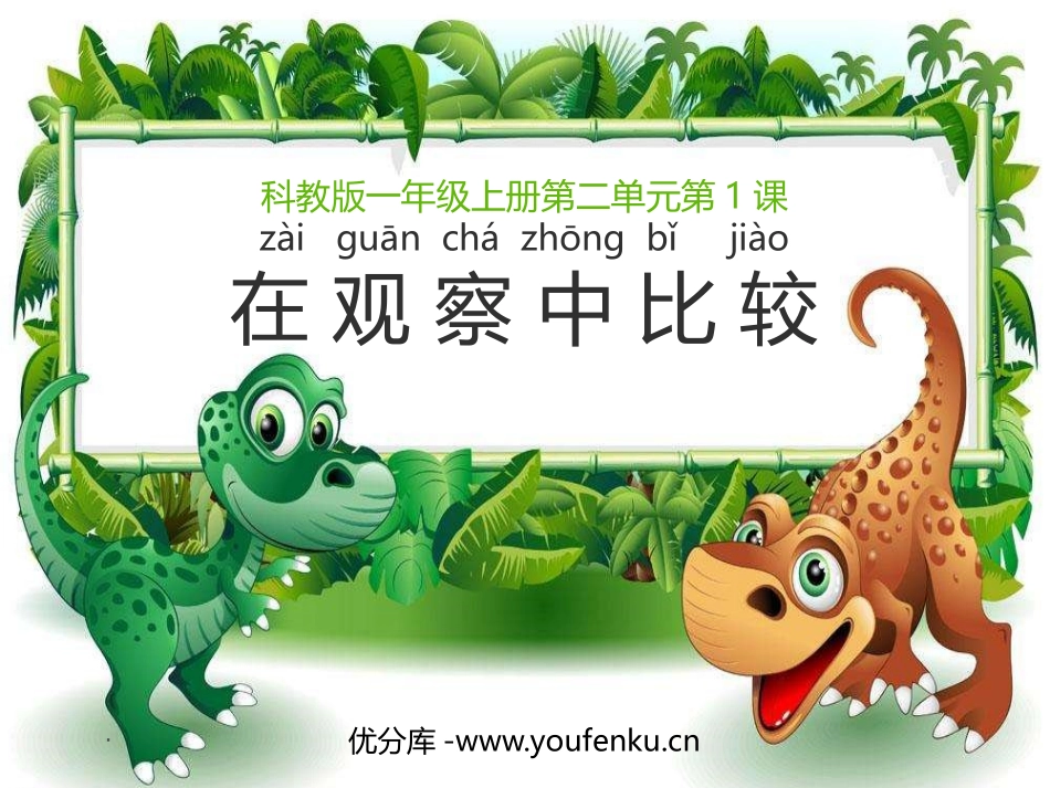 《在观察中比较》PPT免费课件[教科版一年级科学上册]_第1页