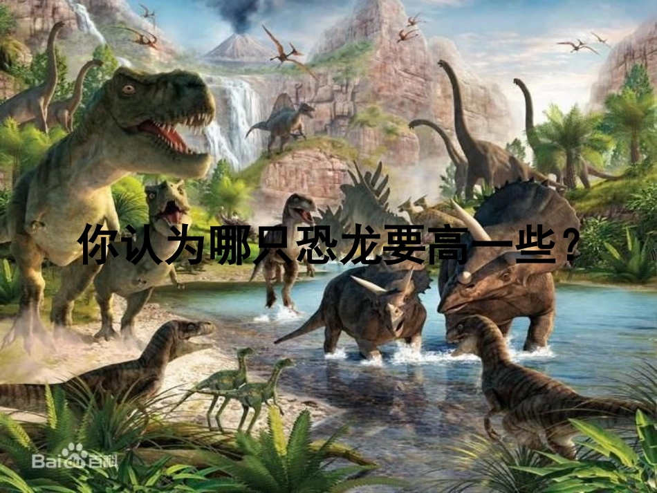 《在观察中比较》PPT免费课件[教科版一年级科学上册]_第2页