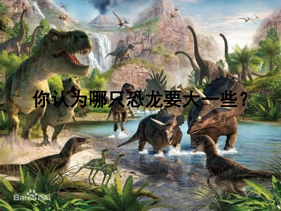 《在观察中比较》PPT免费课件[教科版一年级科学上册]_第3页