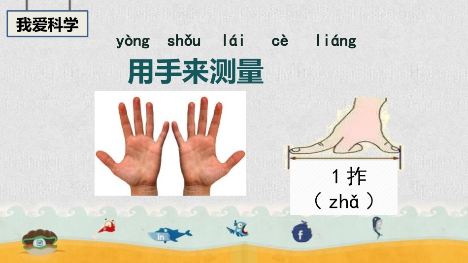 《用不同的物体来测量》PPT免费课件[教科版一年级科学上册]_第2页