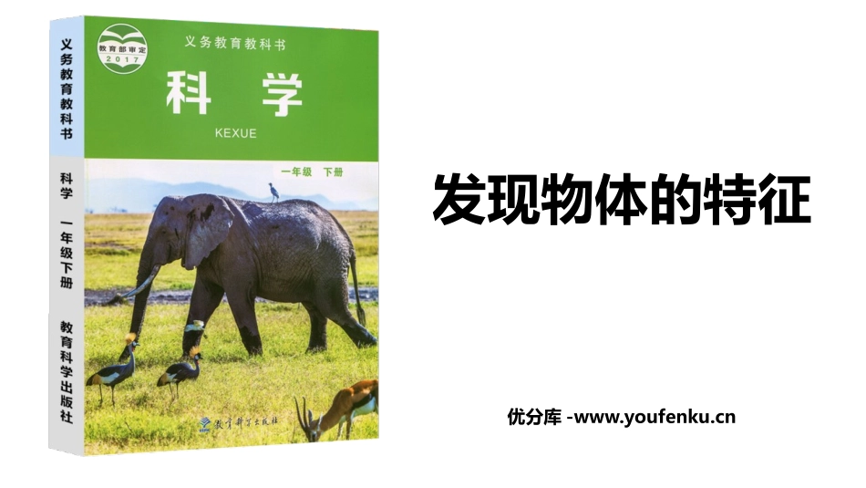 《发现物体的特征》PPT精品课件[教科版一年级科学下册]_第1页