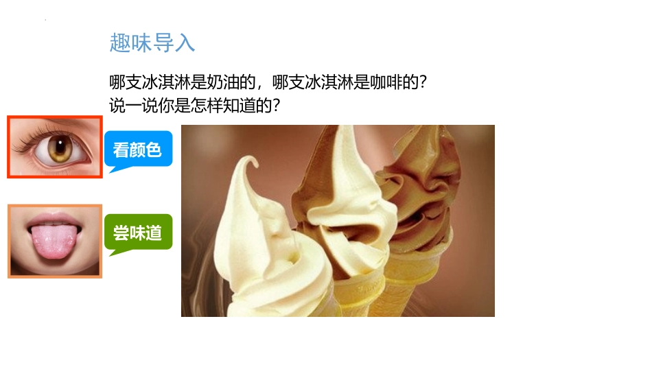《发现物体的特征》PPT精品课件[教科版一年级科学下册]_第2页