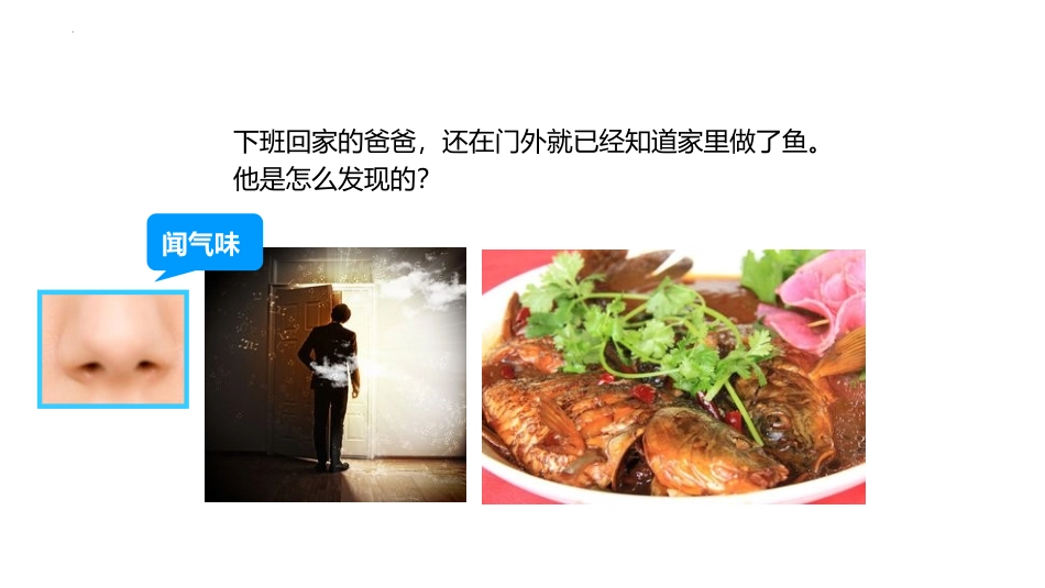 《发现物体的特征》PPT精品课件[教科版一年级科学下册]_第3页