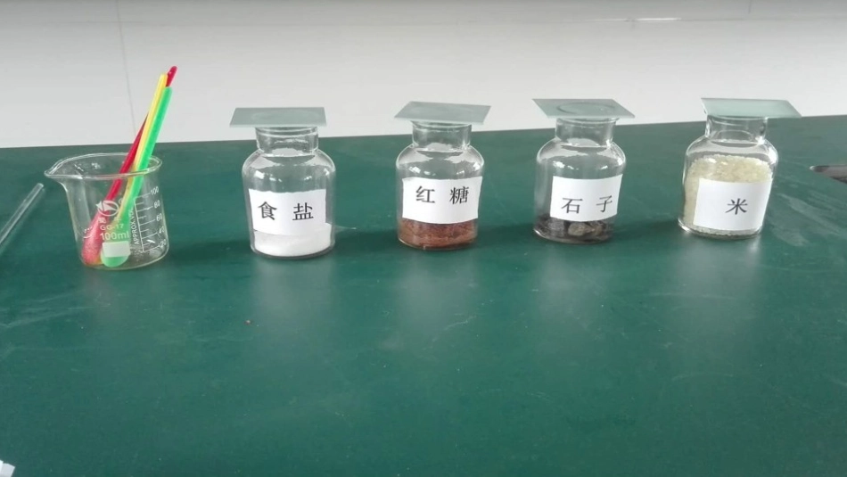 《它们去哪了》PPT精品课件[教科版一年级科学下册]_第2页