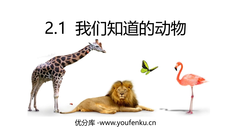《我们知道的动物》PPT课件[教科版一年级科学下册]_第1页
