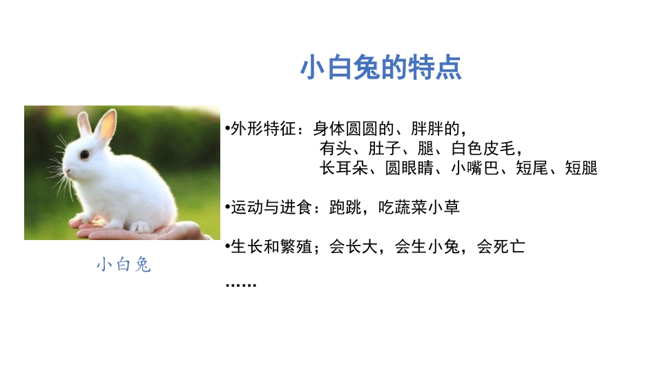《我们知道的动物》PPT免费课件[教科版一年级科学下册]_第2页
