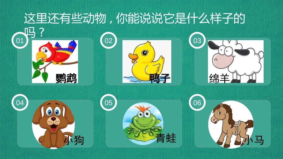 《我们知道的动物》PPT课件[教科版一年级科学下册]_第3页