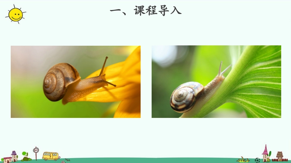《观察一种动物》PPT课件[教科版一年级科学下册]_第2页