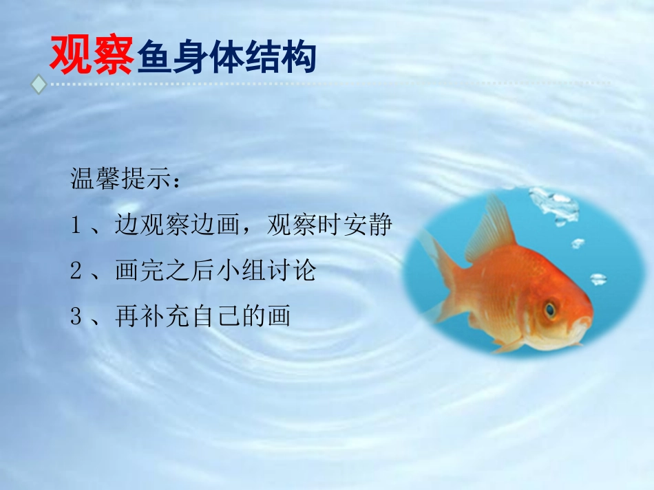 《观察鱼》PPT课件[教科版一年级科学下册]_第3页
