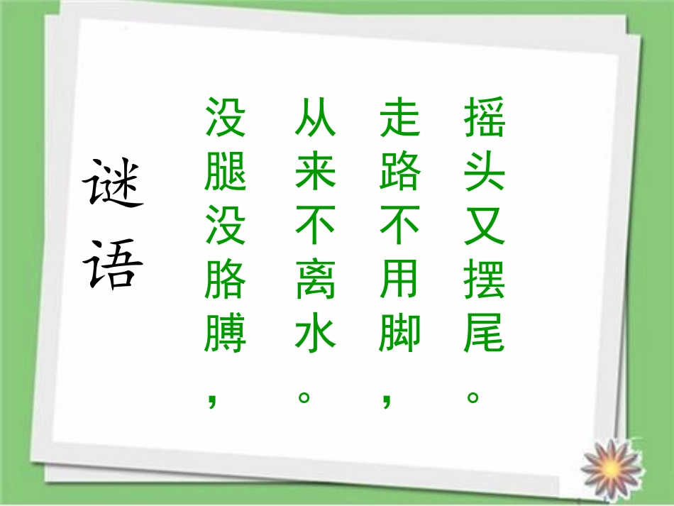 《观察鱼》PPT免费课件[教科版一年级科学下册]_第2页