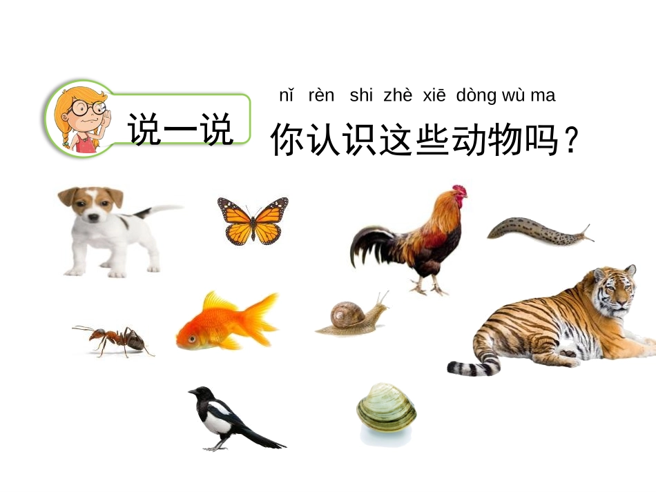 《给动物分类》PPT免费课件[教科版一年级科学下册]_第2页
