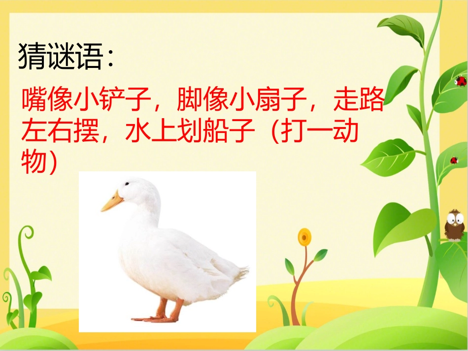 《给动物分类》PPT课件[教科版一年级科学下册]_第2页