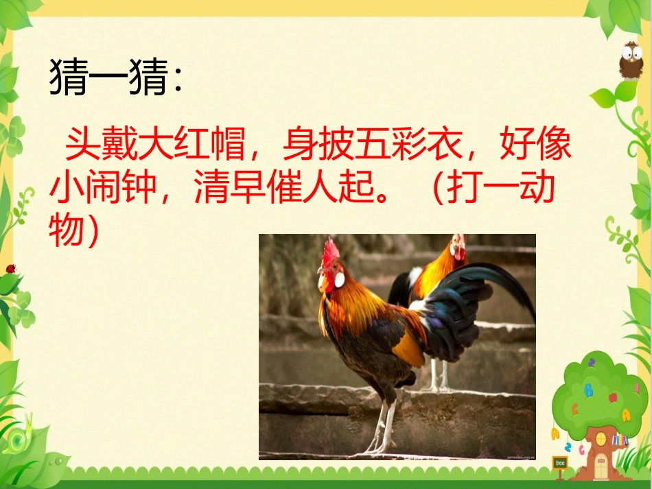 《给动物分类》PPT课件[教科版一年级科学下册]_第3页