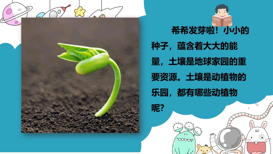 《土壤-动植物的乐园》PPT课件[教科版二年级科学上册]_第3页