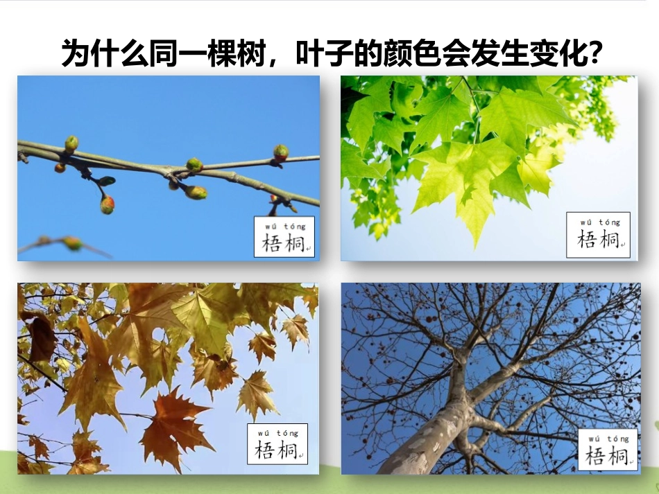《不同的季节》PPT课件[教科版二年级科学上册]_第2页