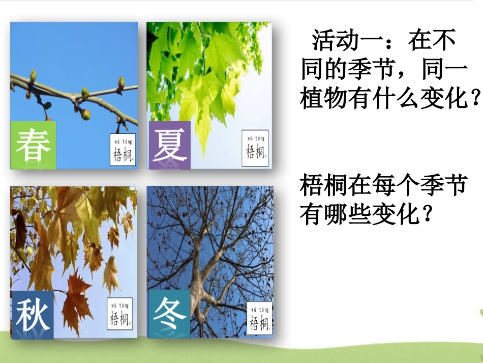 《不同的季节》PPT课件[教科版二年级科学上册]_第3页