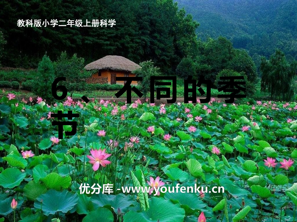 《不同的季节》PPT课件[教科版二年级科学上册]_第1页