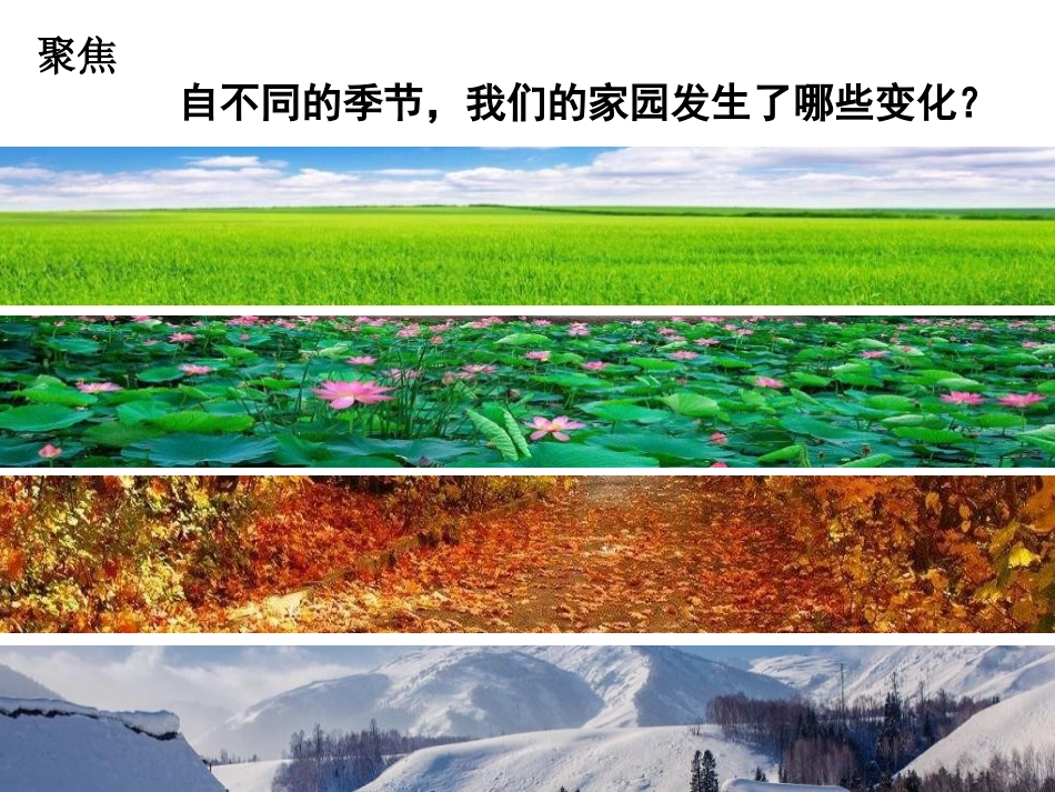 《不同的季节》PPT课件[教科版二年级科学上册]_第3页