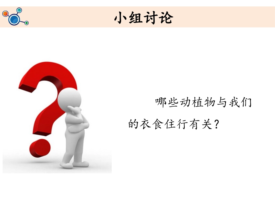 《做大自然的孩子》PPT教学课件[教科版二年级科学上册]_第2页