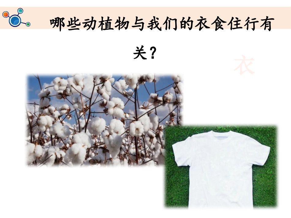《做大自然的孩子》PPT教学课件[教科版二年级科学上册]_第3页