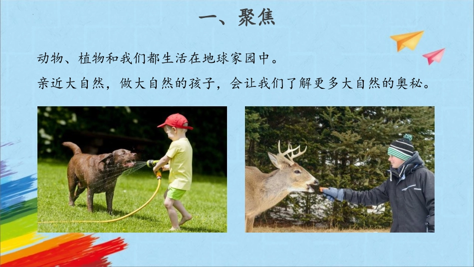《做大自然的孩子》PPT免费课件[教科版二年级科学上册]_第2页