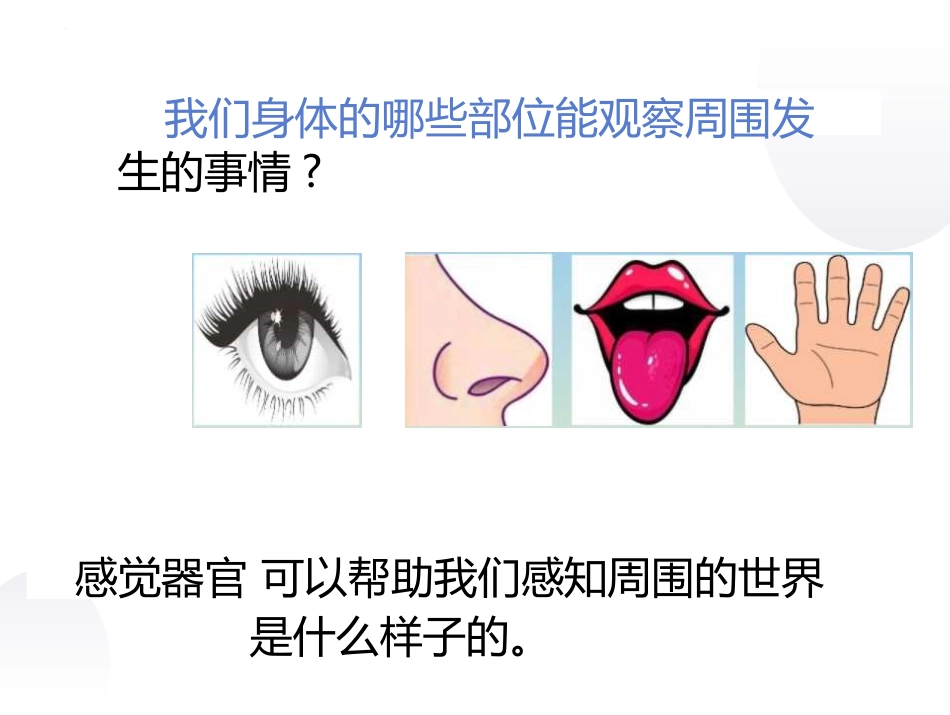 《通过感官来发现》PPT优秀课件[教科版二年级科学下册]_第2页