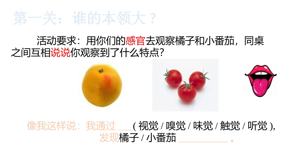 《通过感官来发现》PPT优质课件[教科版二年级科学下册]_第3页